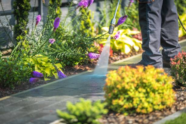 Best Dumpster Area Cleaning  in Wilkinson Heights, SC